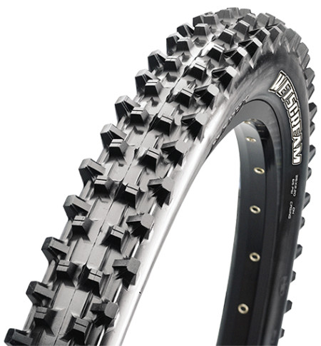 Maxxis WetScream Tyre