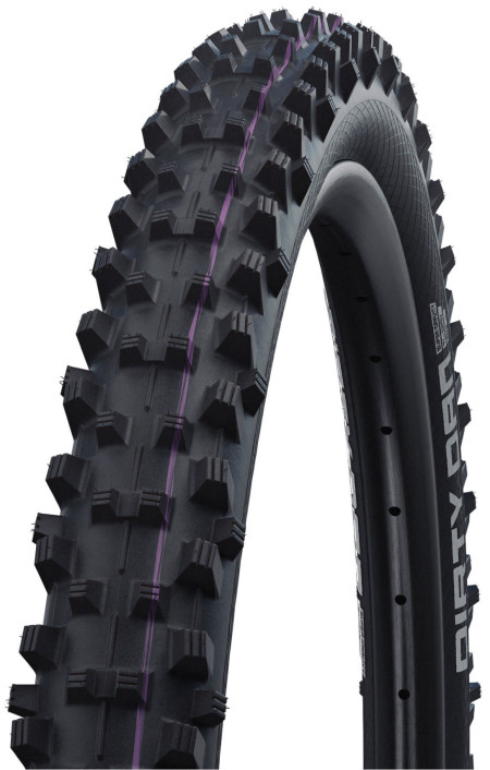 Schwalbe Dirty Dan Tyre