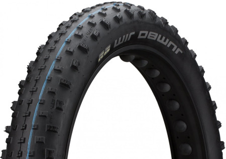 Schwalbe Jumbo Jim Tyre