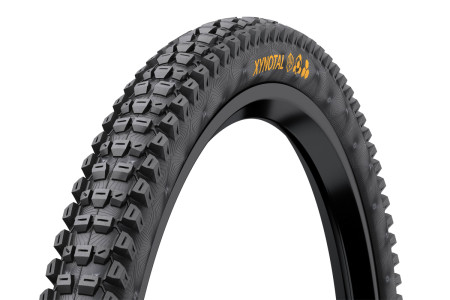 Continental Xynotal Tyre